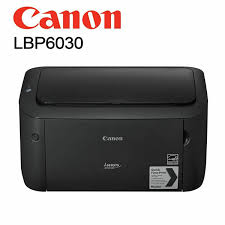 canon6030